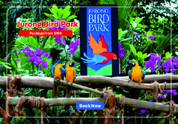 nanosoft travels promo 3-min