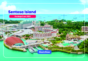 nanosoft travels promo 4