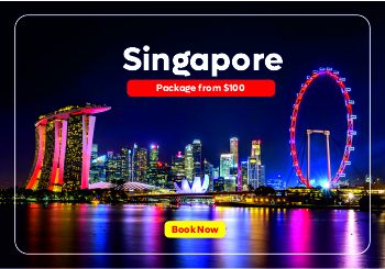 nanosoft travels promo